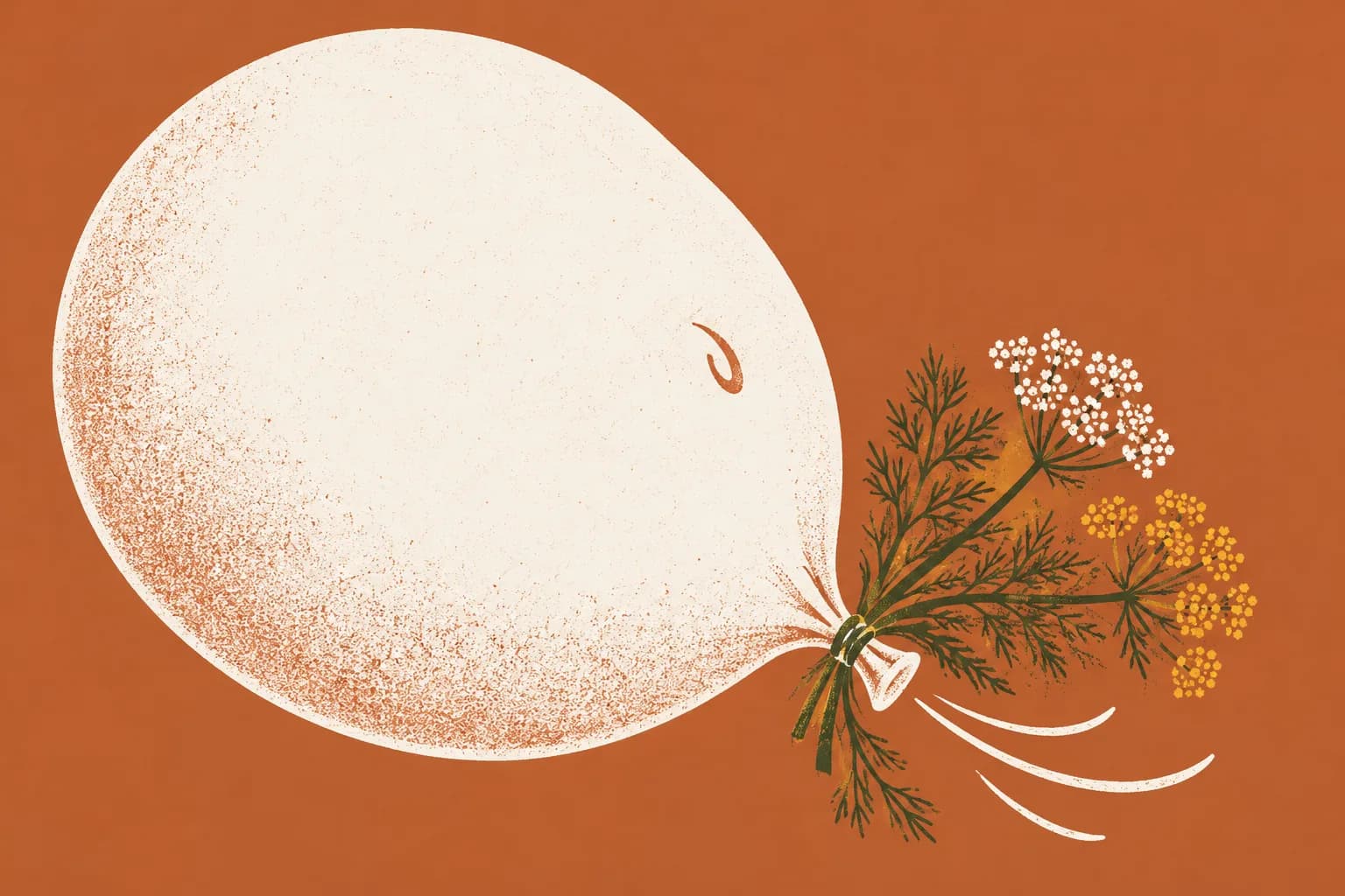 Ilustracja: balon w kształcie brzucha przewiązany gałązką kminku i baldachami kopru włoskiego